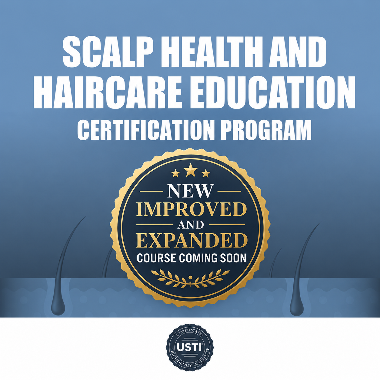 USTI Scalp Health And Haircare Education Certification Program